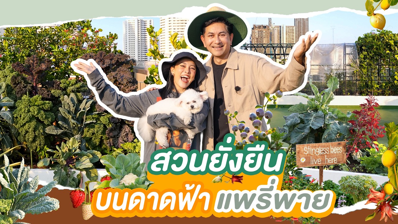 สวนกินได้แบบยั่งยืนบนดาดฟ้า Pearypie’s Sky Garden