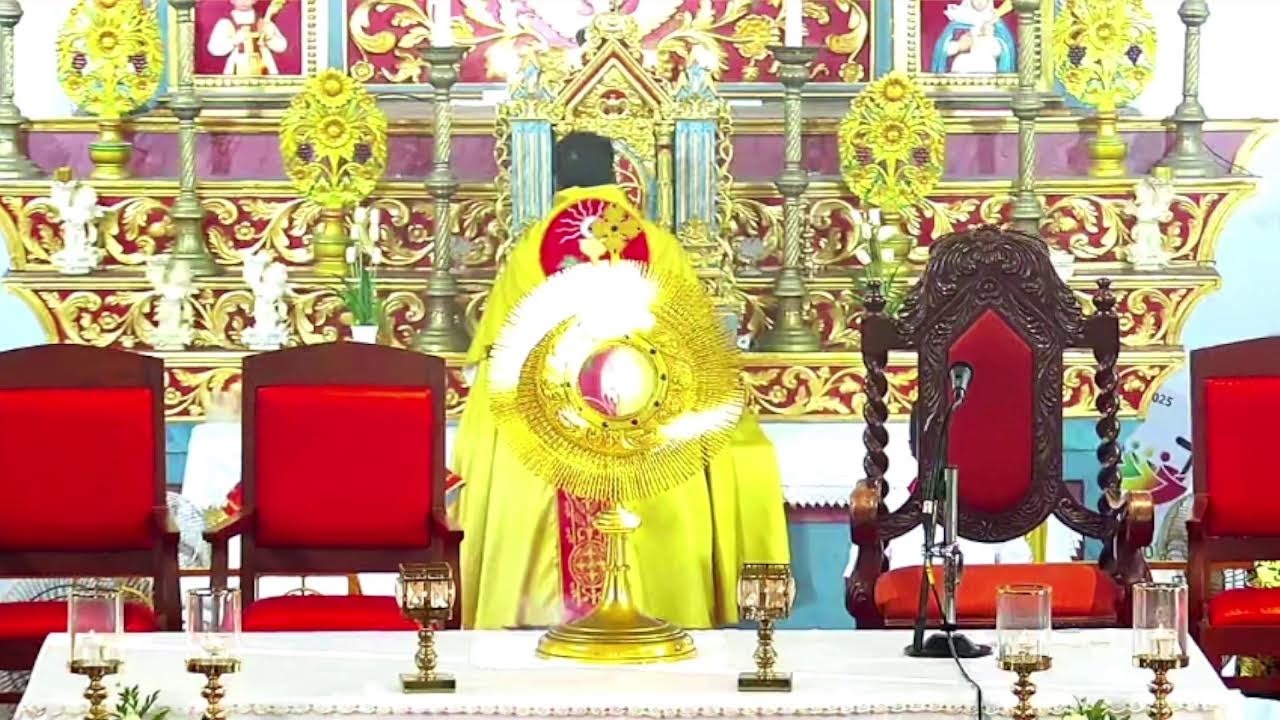 07 FEBRUARY 2026 - 06.30AM  ||  LIVE HOLY MASS  ||  VALLARPADAM SHRINE BASILICA