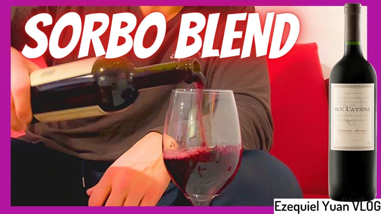 🍷SORBO #6🍷SE NOTA EL BLEND - Cata de Vino tinto D.V.CATENA Cabernet-Malbec 2022
