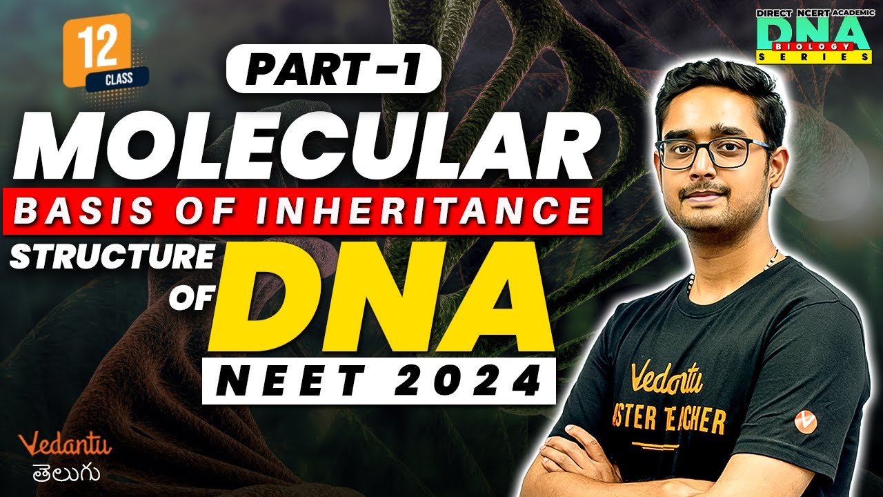 Molecular Basis of Inheritance Class 12 Chapter 6 | Structure Of DNA | NEET 2024 @VedantuTeluguNEET