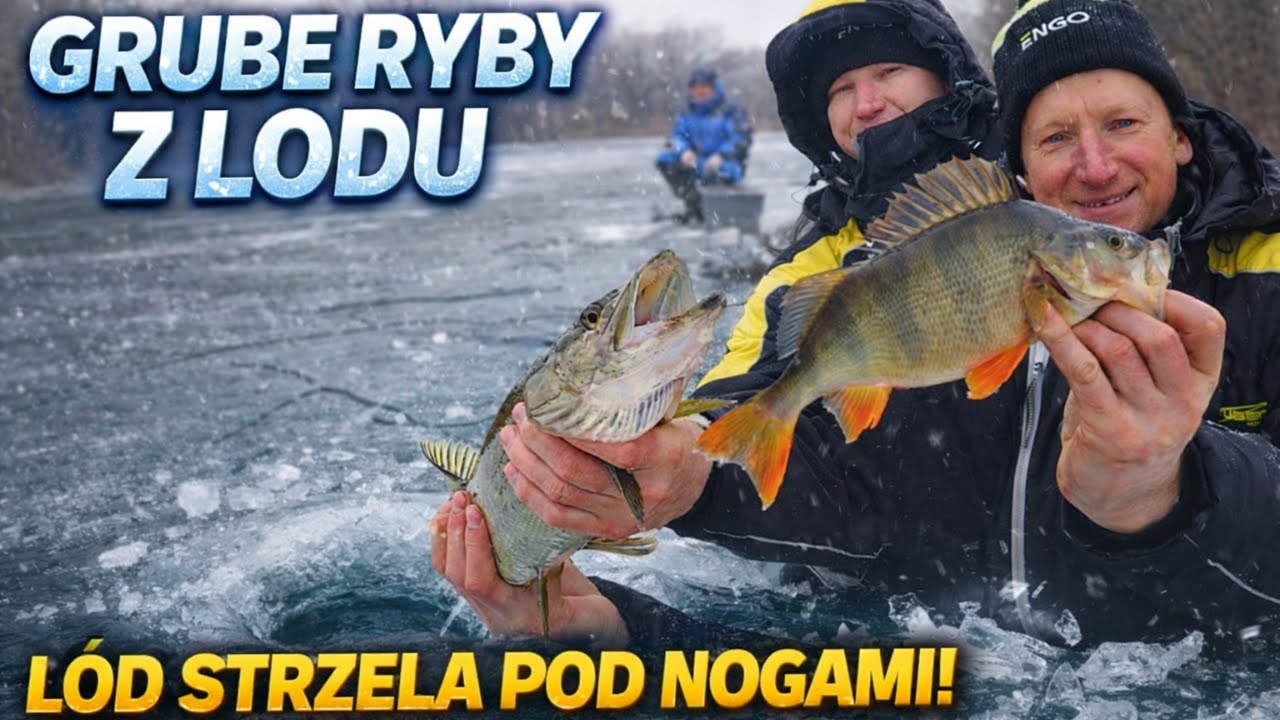 LÓD STRZELAŁ POD NOGAMI! GRUBE RYBY Z LODU