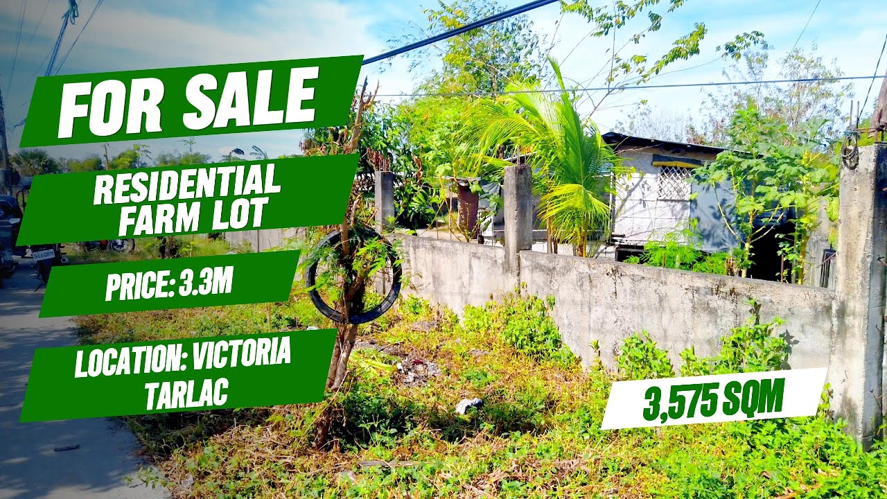 (517) FOR SALE 3,575 SQM RESIDENTIAL FARM, ALONG CEMENTED ROAD, NEAR HIGHWAY AND TOWN PROPER
