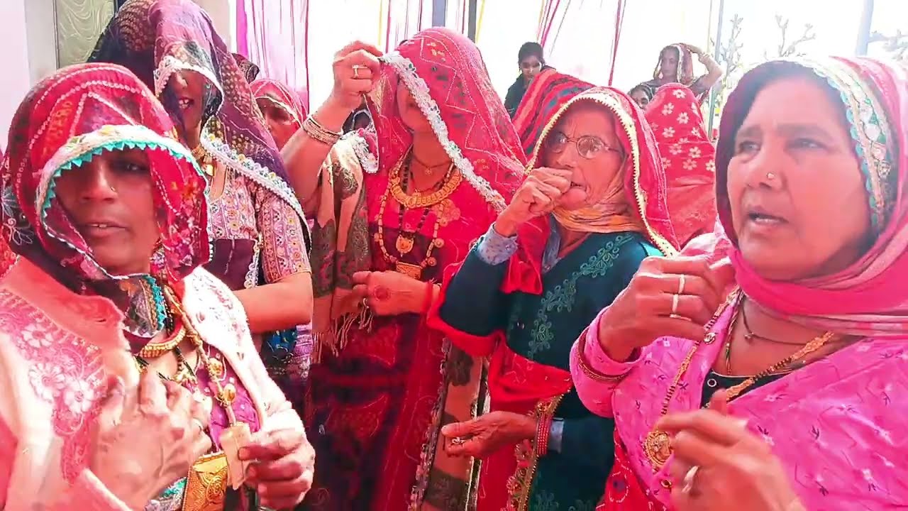 शेखावाटी जाटनीयो का सुपरहिट डांस #shekhawati jatni#love #tranding #couples #shekhawati_comedy #ytsho