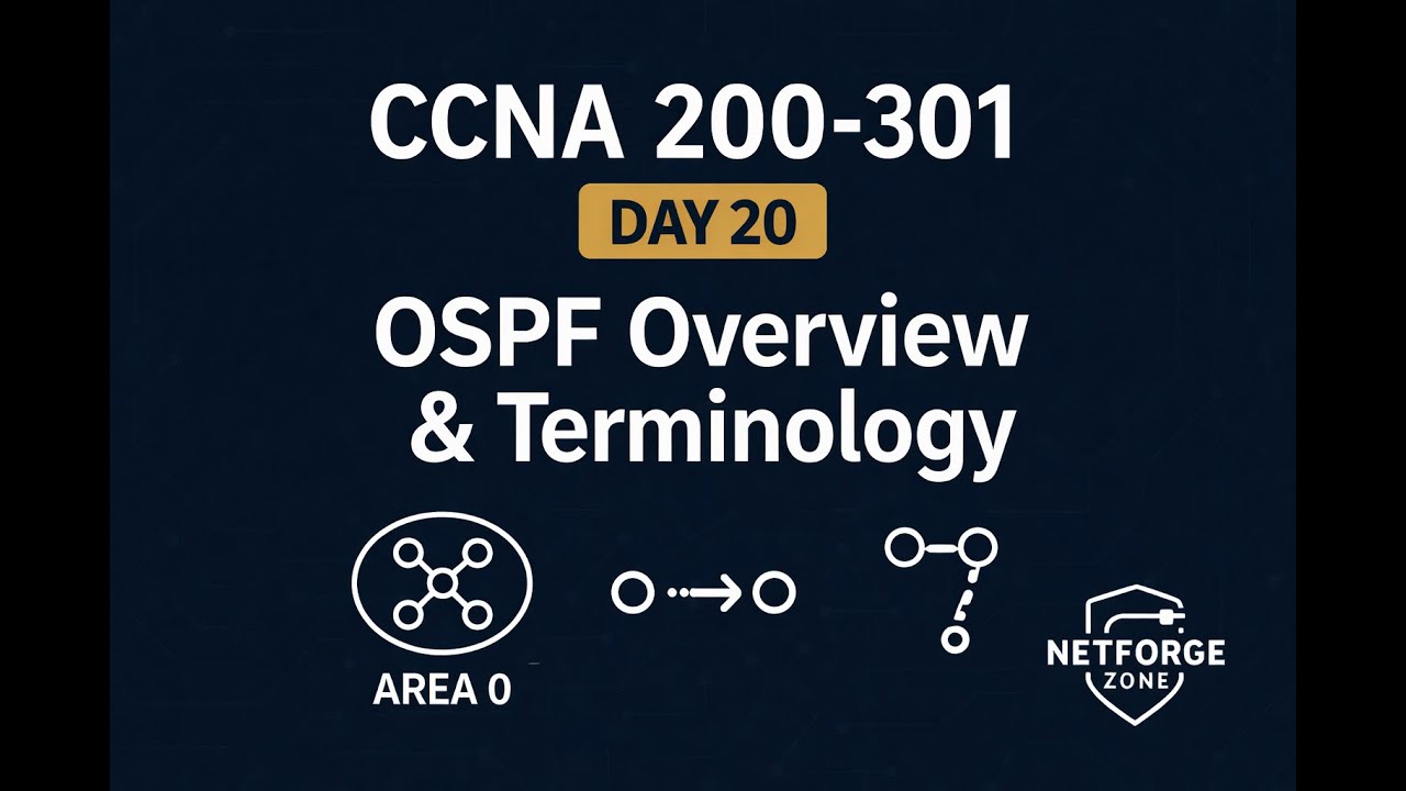 День 20. Обзор и терминология OSPF.