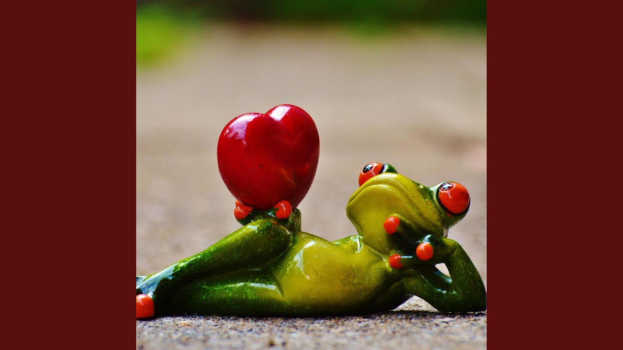 To Love Again