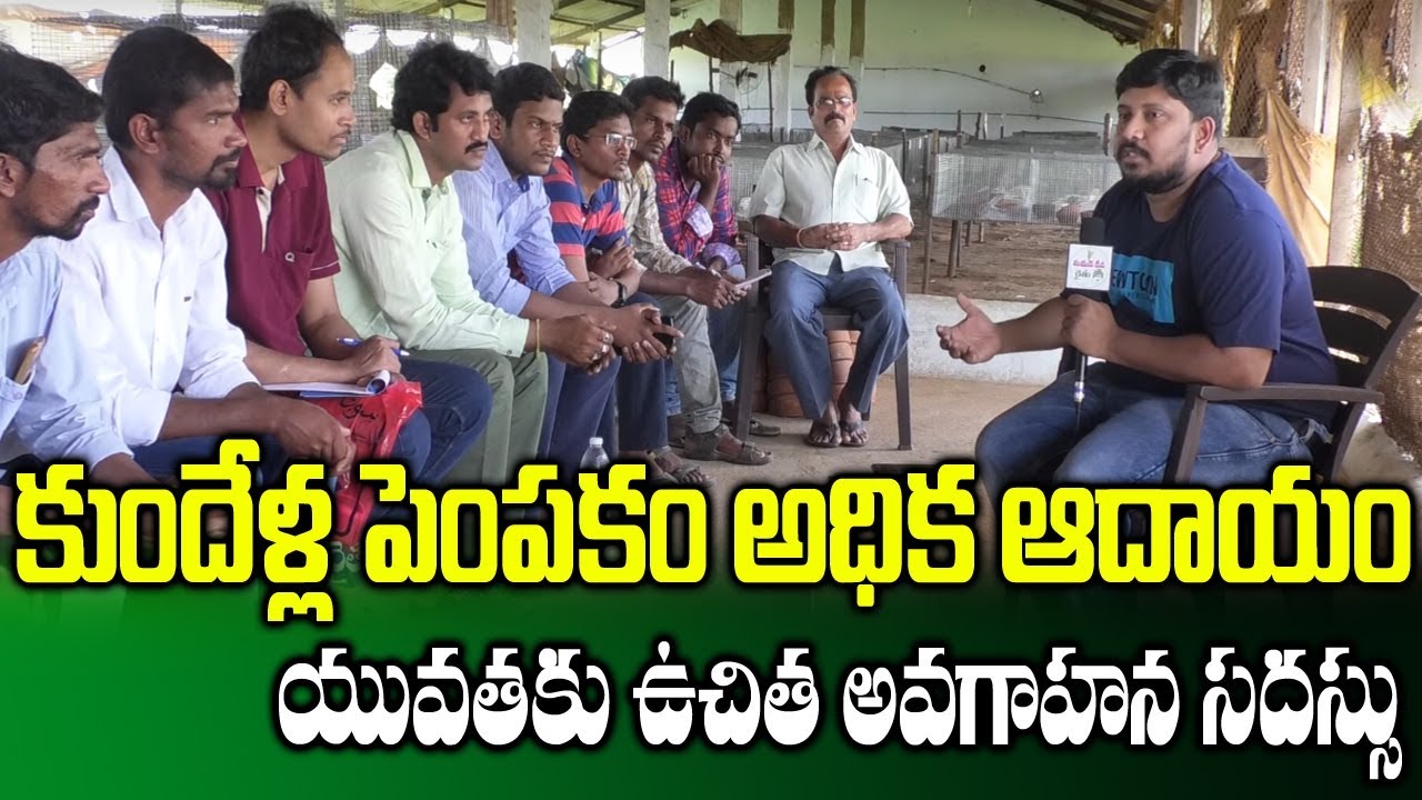 Free Training For Students At Rabbit Farm ||Tips For Rabbit Farming || SumanTV Rythu