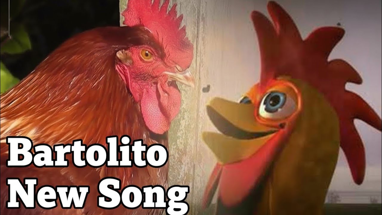 Bartolito VS Real Rooster New Song