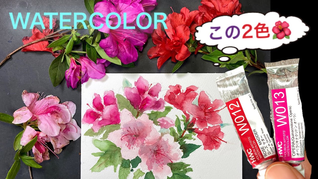 【初心者のための透明水彩67】花の色の混色法/ツツジ/つつじ/花