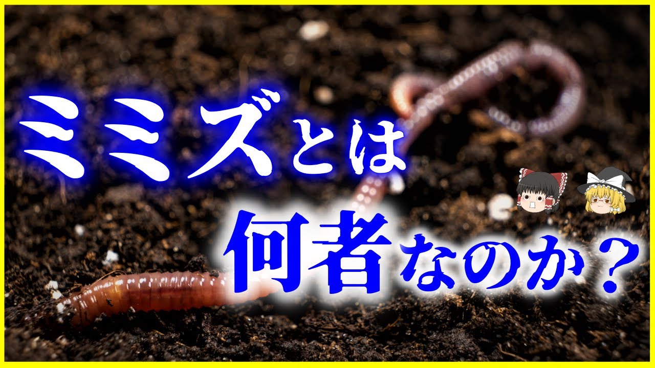 【ゆっくり解説】ミミズとは何者か？地中の王「ミミズ」驚きの実力を解説/千切れても死なない⁉分裂する⁉その真相とは