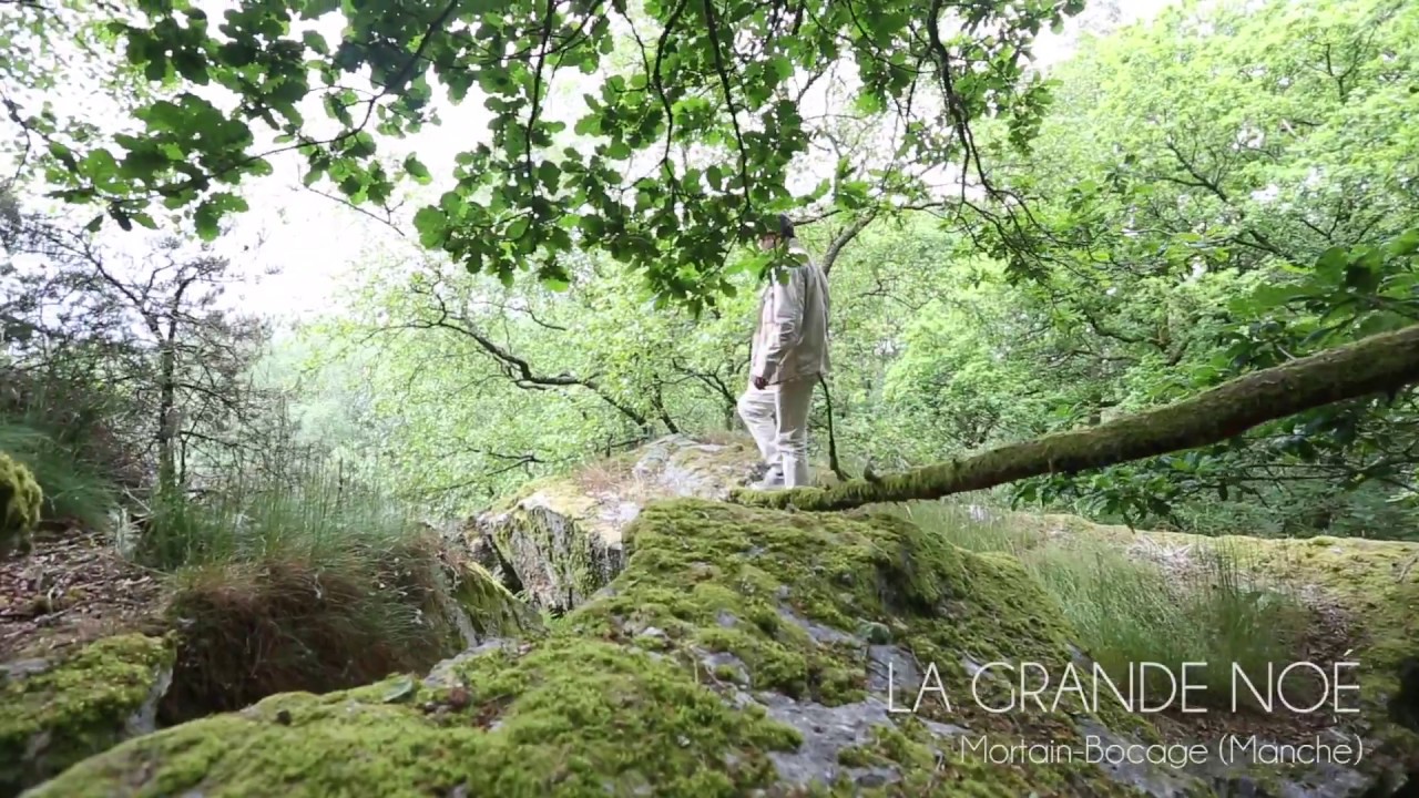 Le gr&egrave;s entre Mortain et Domfront