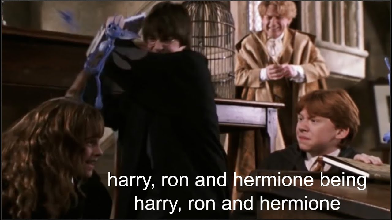 harry, ron and hermione being harry, ron and hermione