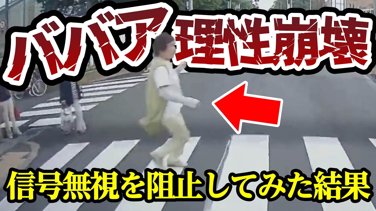 ババアが目先の欲に理性崩壊、信号無視を阻止してみた結果、狂乱 【ドラレコ】交通安全チャンネル【019】