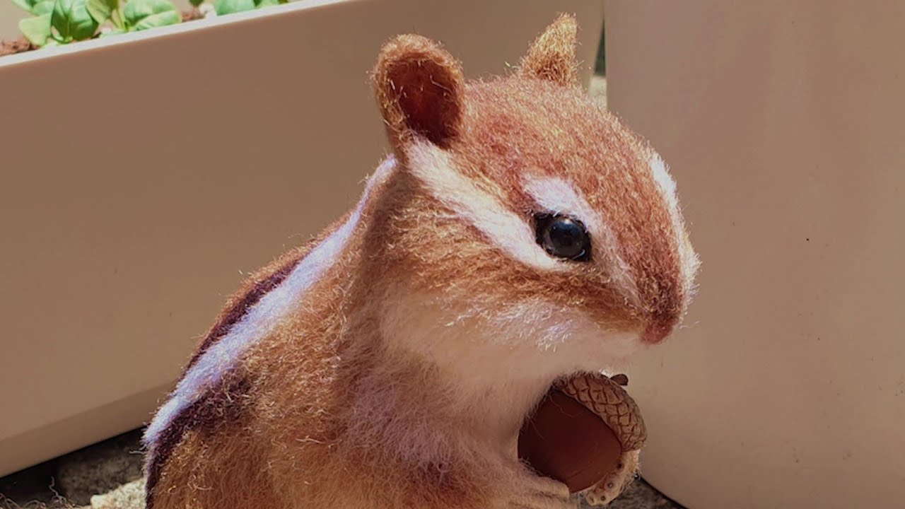 Needle Felt Squirrel Tutorial 다람쥐 만들기!