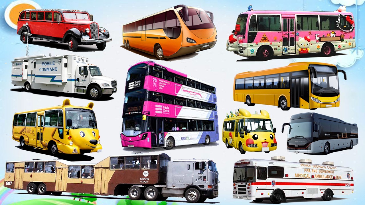 🚌 Xe Buýt Gì Đây? 11 Xe Buýt Siêu Đặc Biệt Bé Chưa Từng Thấy P6 | Xe Buýt Cứu Thương, Lạc Đà, 3 Tầng