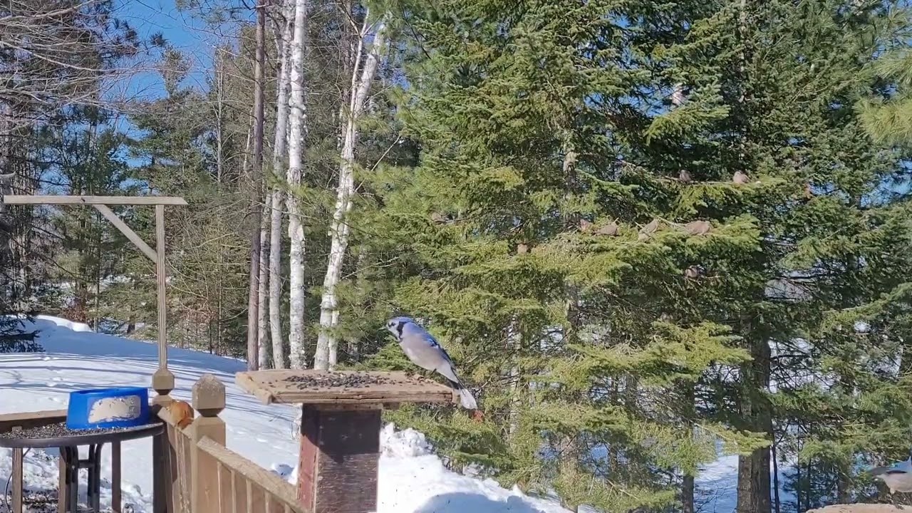 A Rare Sunny Day