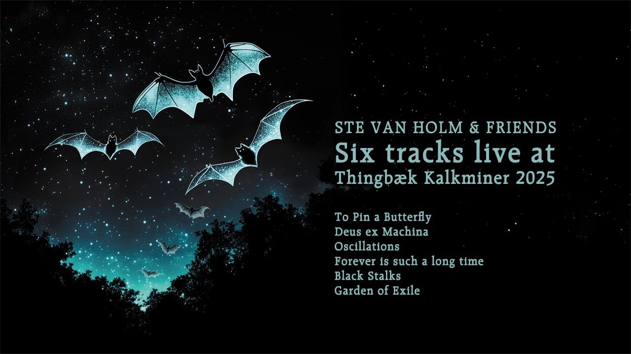 Ste van Holm & Friends live at Thingbæk Kalkminer