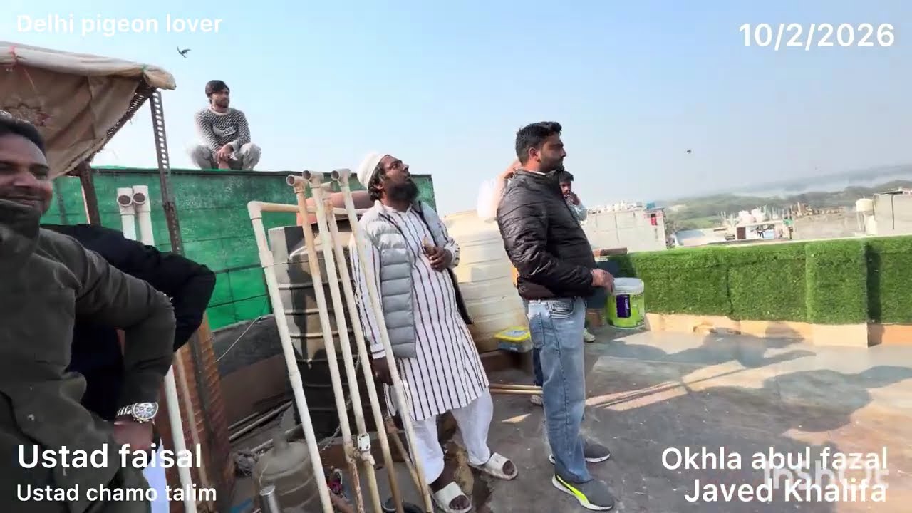Javed Khalifa k 180 kabutar dodhte hue. Ustad faisal. Chamo talim. Okhla ki kabutar bazi 