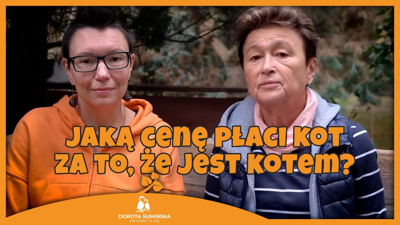 Jaką cenę płaci kot za to, że jest kotem?