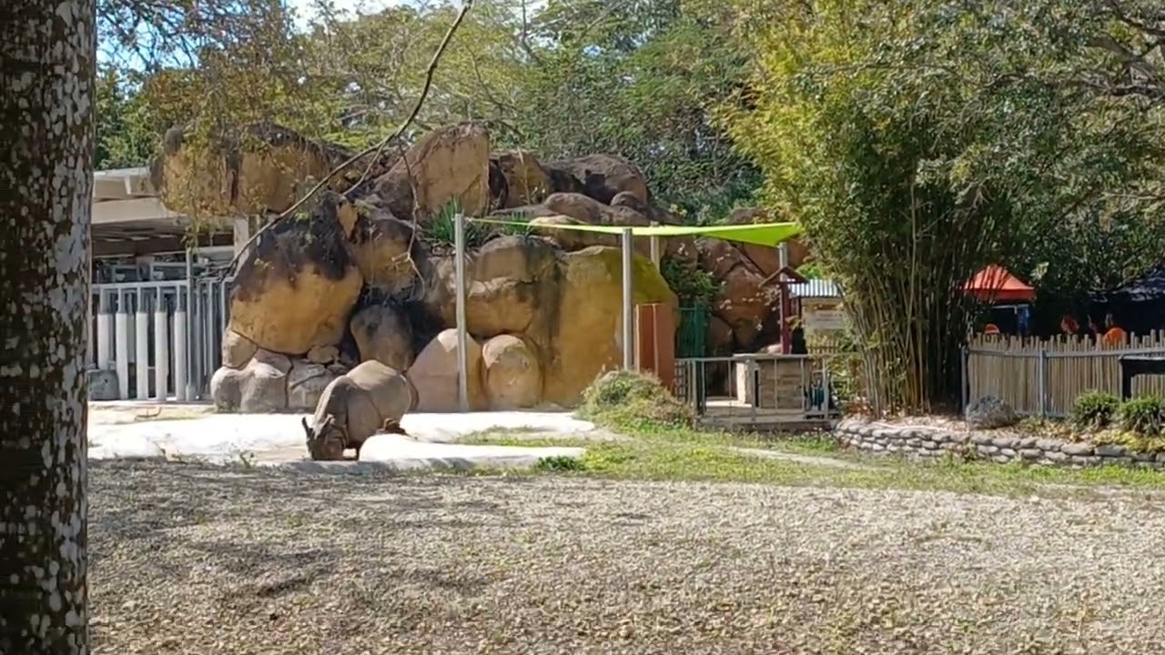 Zoo Miami