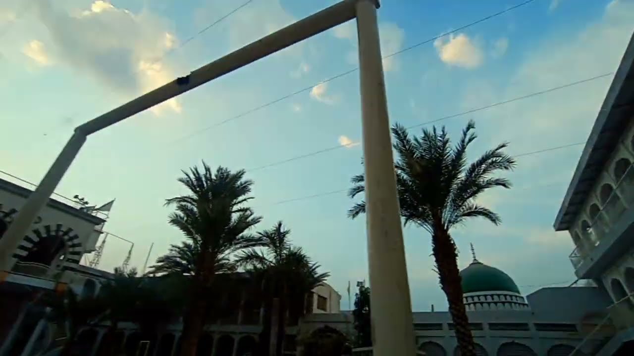 Palm plants and trees of Jamia Faridiya Sahiwal