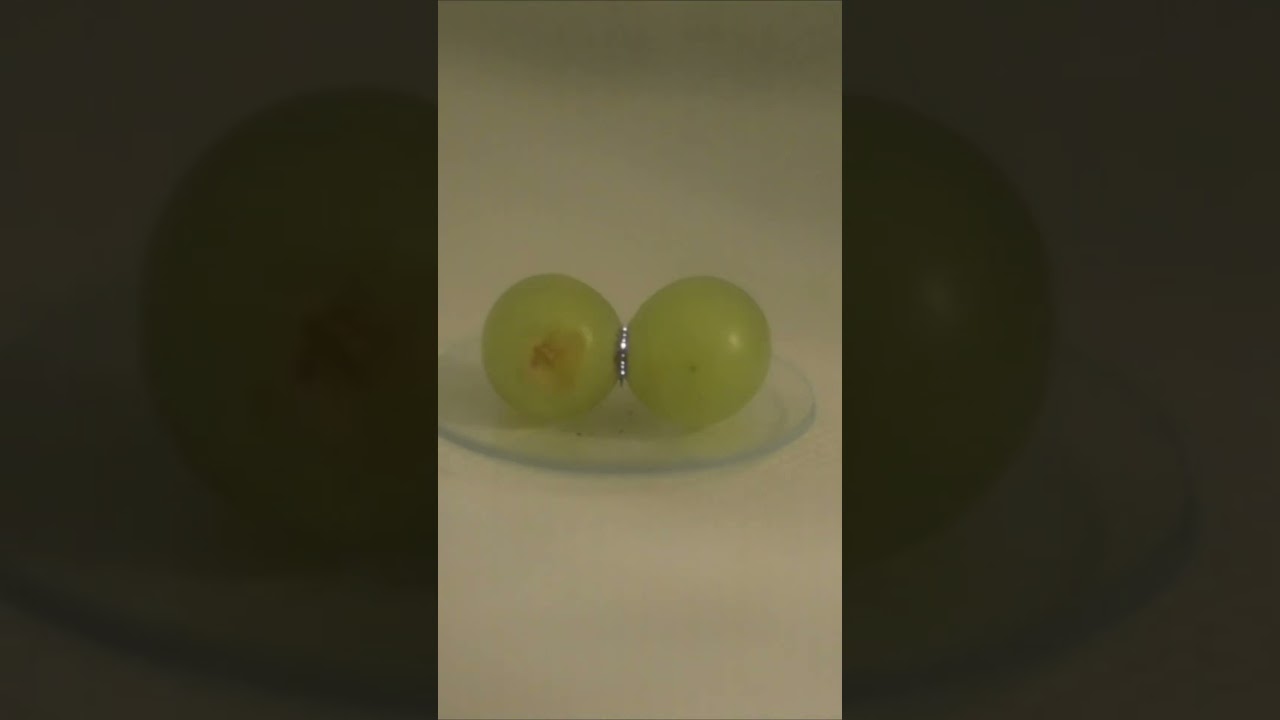 Why Grapes Create Plasma in a Microwave 🔥 (Science Behind the Viral Experiment!)