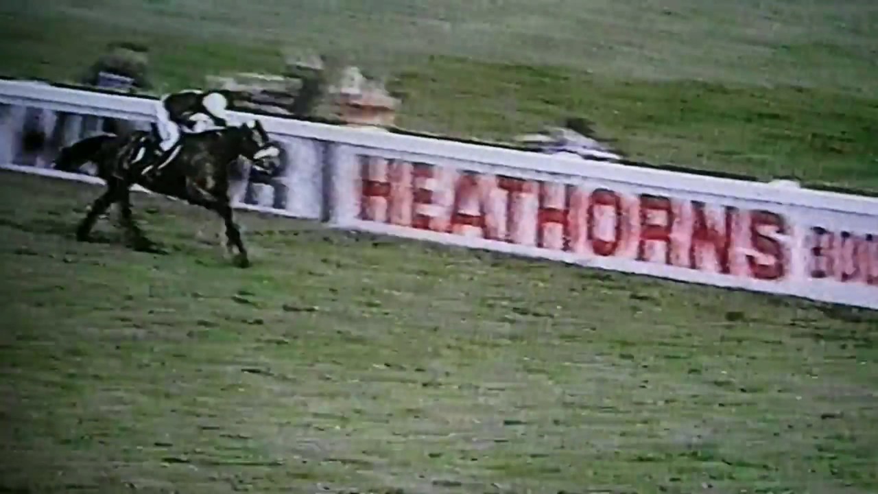 A tribute to Red Rum {If today was your last day} RIP champion