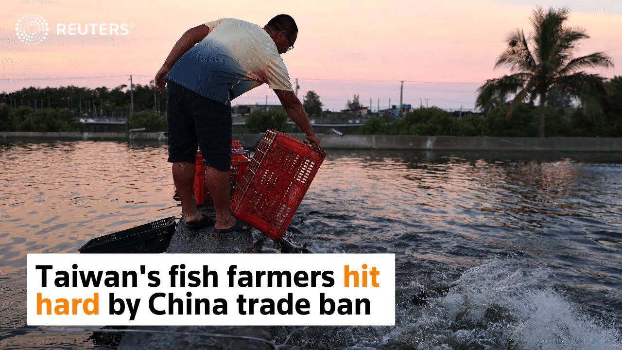 Taiwanese fish farmers hit hard by China trade ban