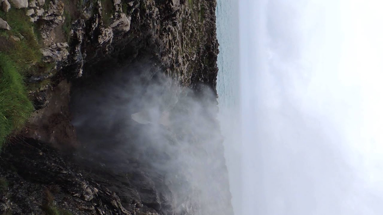 Bufones en Cobijero Llanes