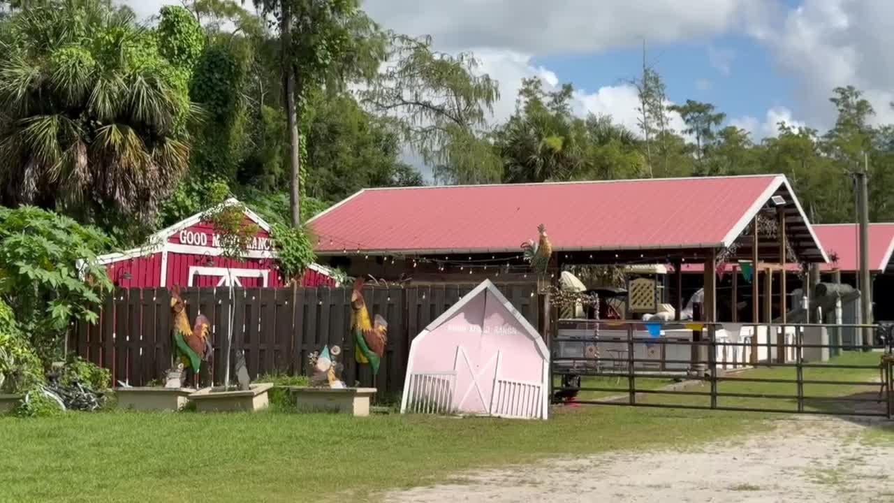 Family-run ranch in East Naples fights to stay open amid land use dispute