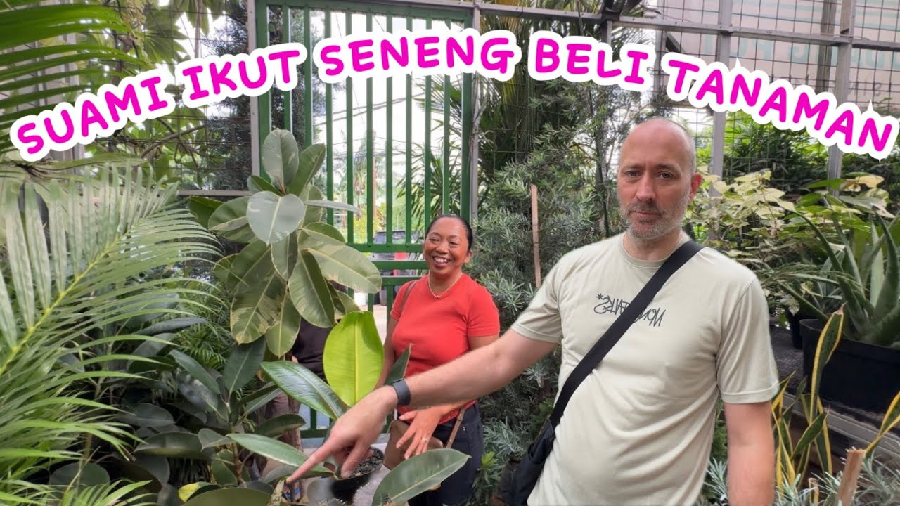 SERU NYA PILIH2 TANAMAN BUAT DIRUMAH 🏡