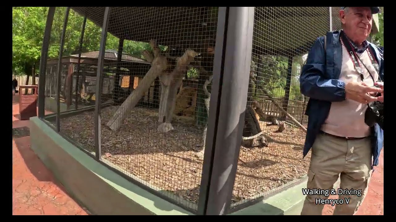 Walking in ZOO - Madrid Spain [ 4K ]