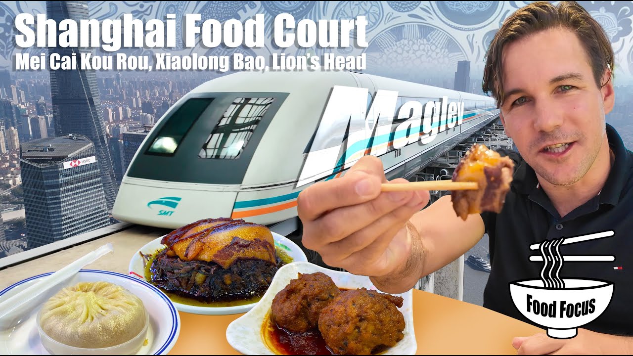Maglev nerdfest and Lion’s head??? 🦁 China 🇨🇳