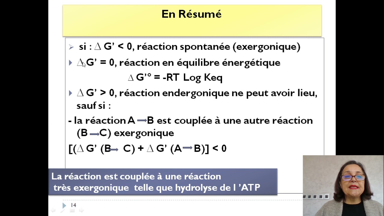 Bioénergétique 1