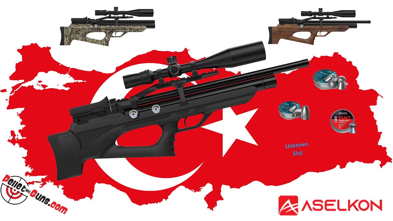 Inter Aselkon MX 10s 22 cal Review