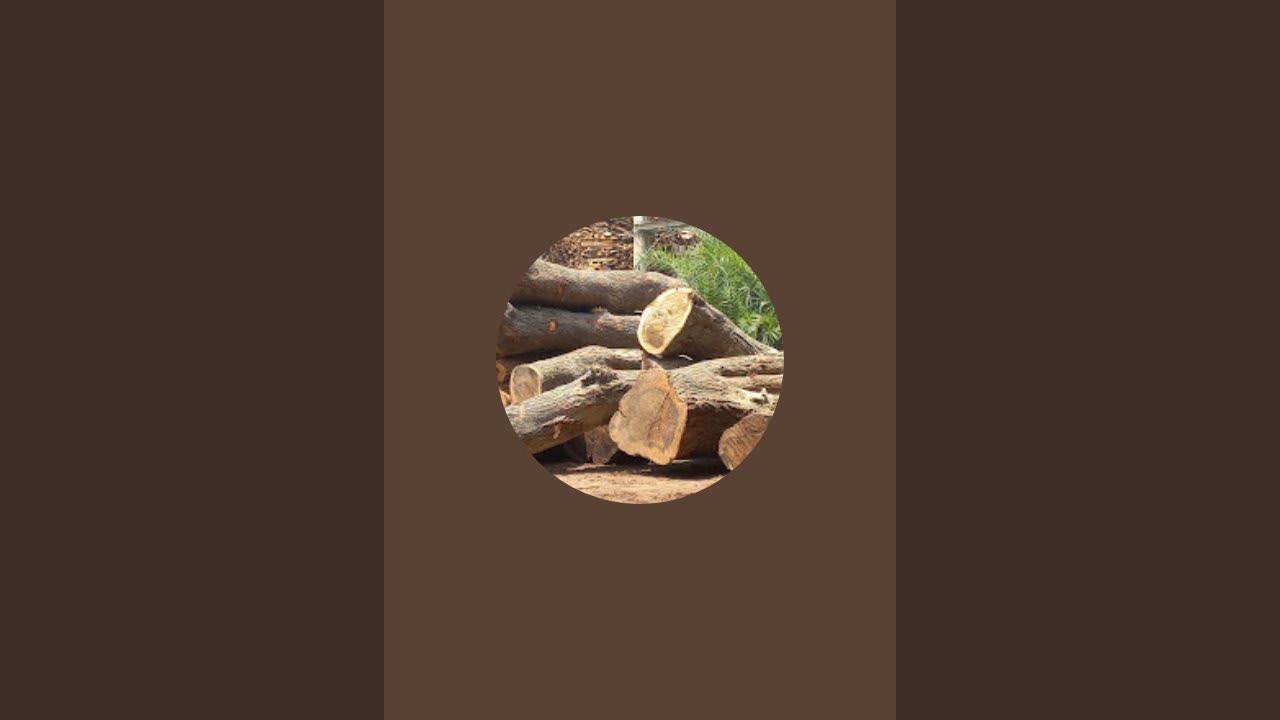 Wood work studio is live