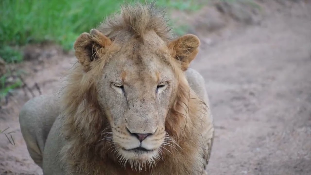 South Africa short film 2