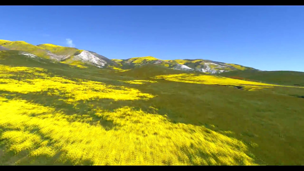 Carrizo Plain