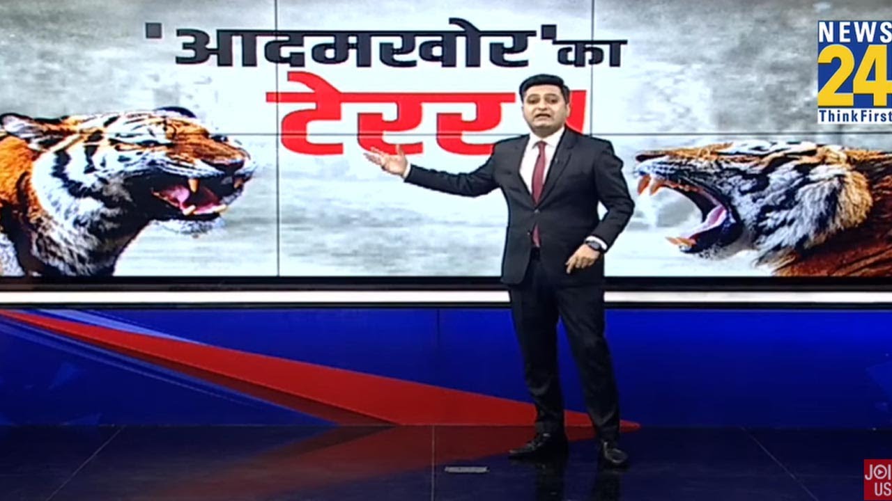 ‘आदमखोर’ का टेरर ! | Tiger kills seven-year-old boy | Suspected wolf attack | News 24