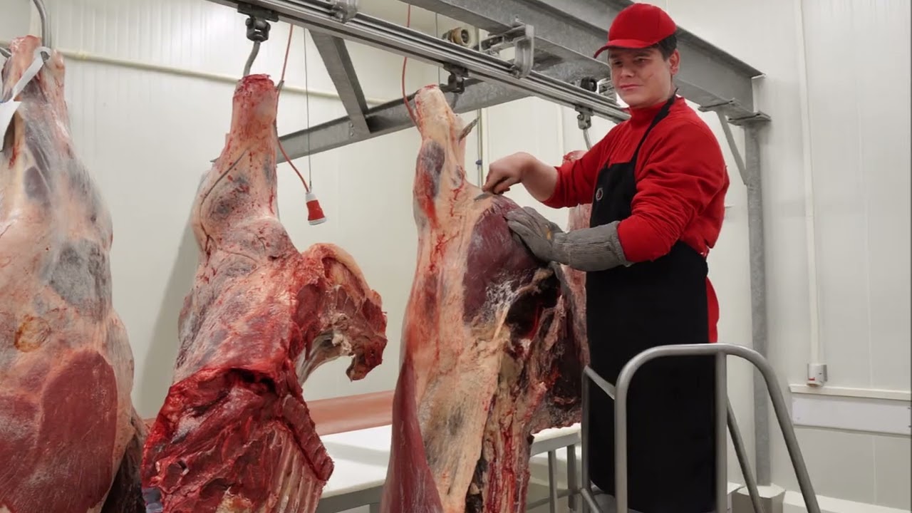 Kritische controlepunten CCP’s en punten van aandacht PVA’s bij  productie & verkoop van vers vlees
