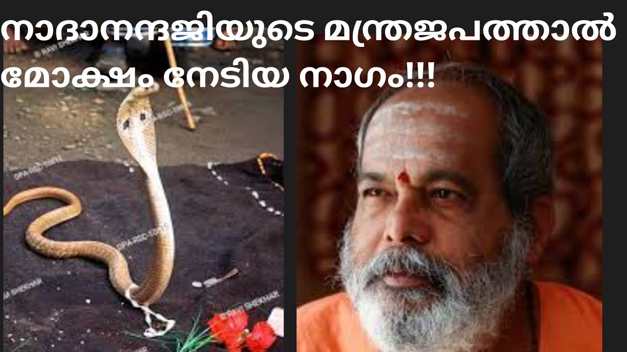 മന്ത്ര ജപം കേട്ടു മോക്ഷം നേടിയ നാഗം ( ഒരു അവധൂതന്റെ ആത്മ കഥ )