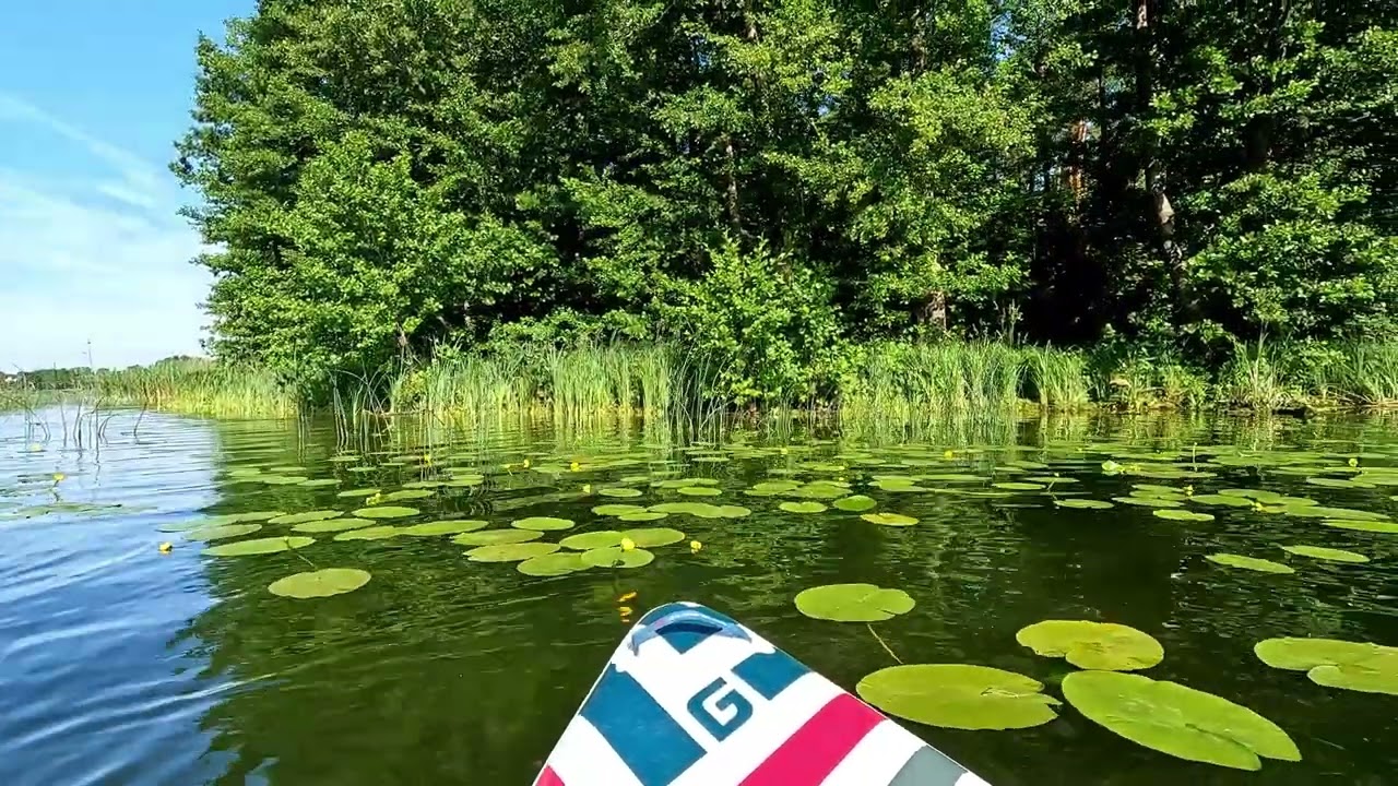 Relaxation on the lake. Jezioro Ślesińskie, Jezioro Mikorzyńskie. SUP.