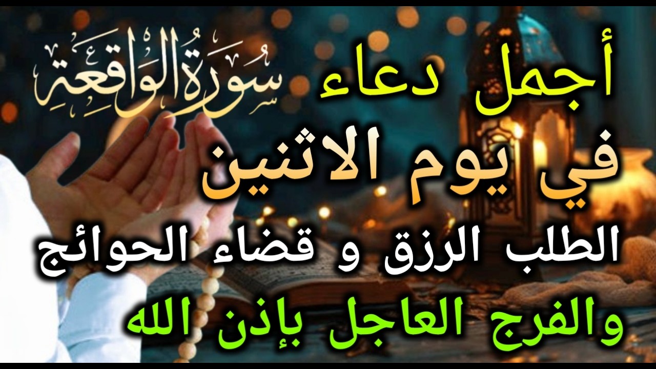 قراءة مؤثرة! دورة واحدة قد تجلب لك الثروة