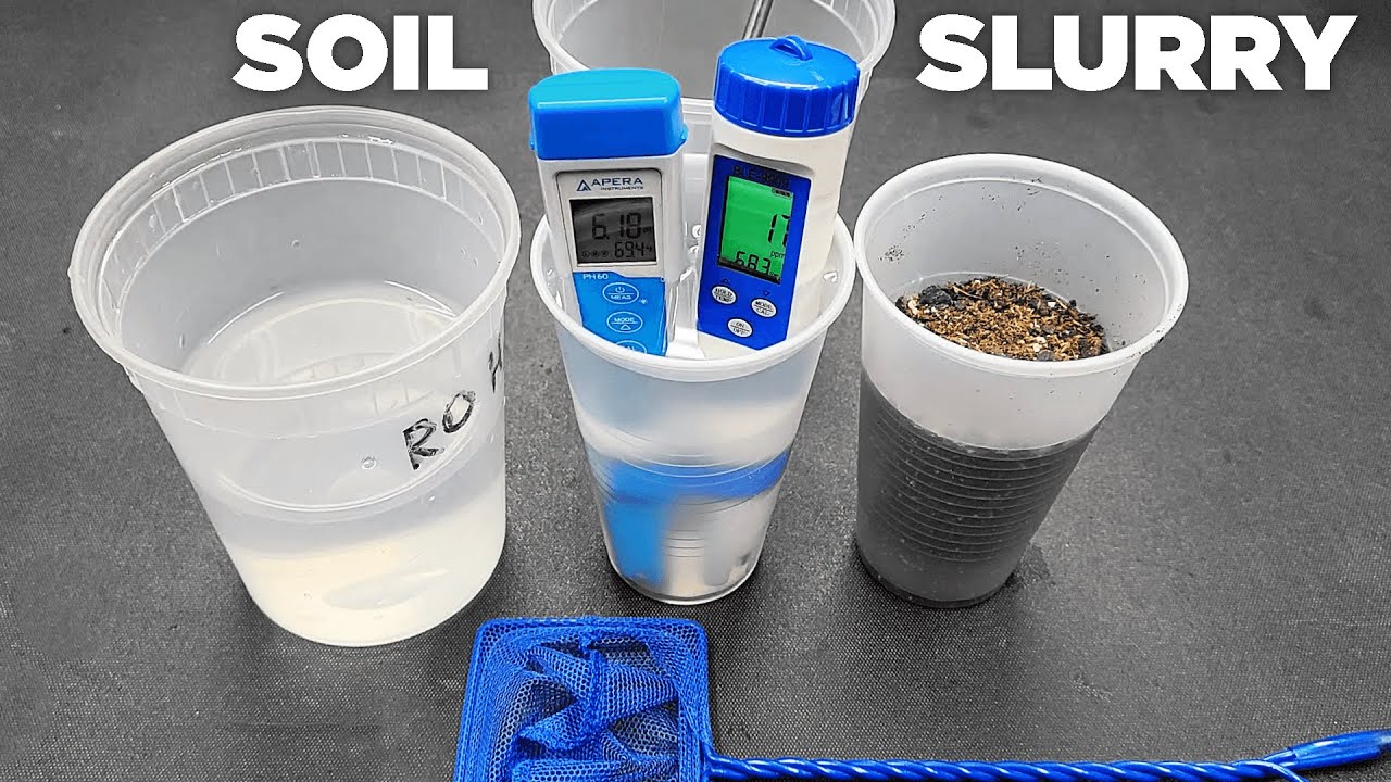 A Step-by-Step Guide to Conducting a Soil Slurry Test for pH & EC Analysis at Home