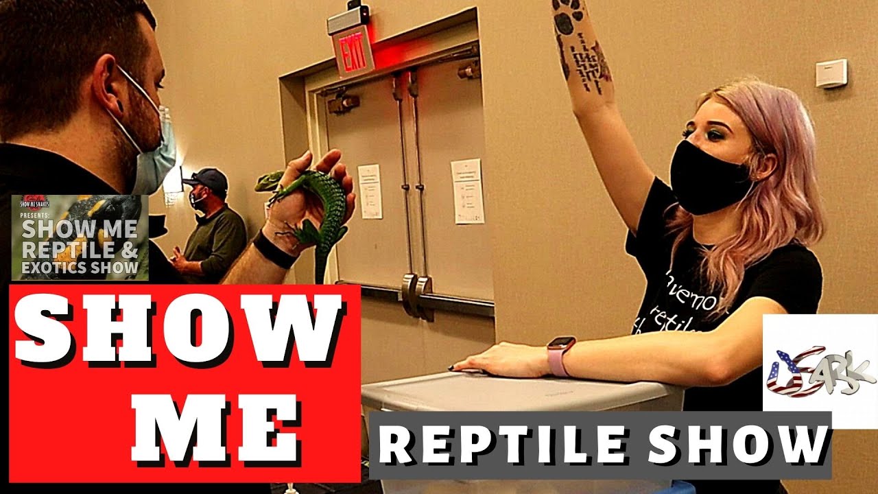 Come take a tour of the Show Me Reptile Show | Janesville WI March 2021
