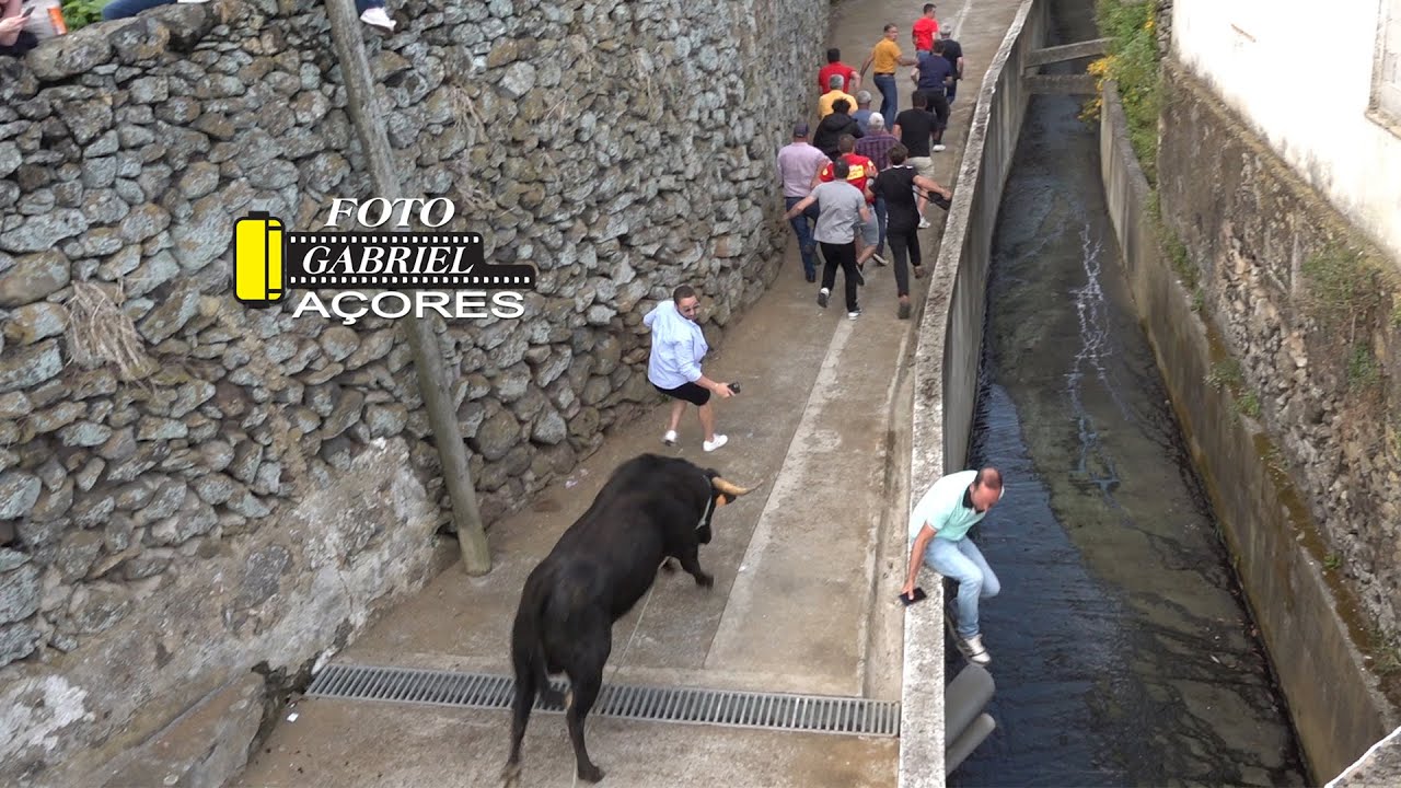 10-06-2024 Tourada Santo Amaro Ganadeiro JAF-Açores