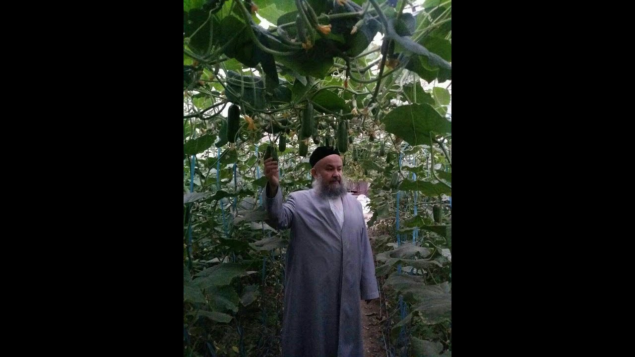 Тазкират ул Авлиё Жаъфар ас Содиқ роҳимаҳуллоҳ (Мулла Абдулқаҳҳор домла)