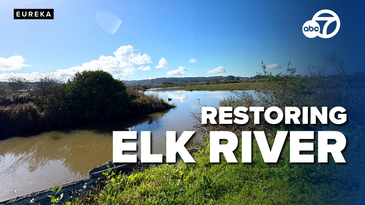 Major California river restoration moves forward after 14-year study