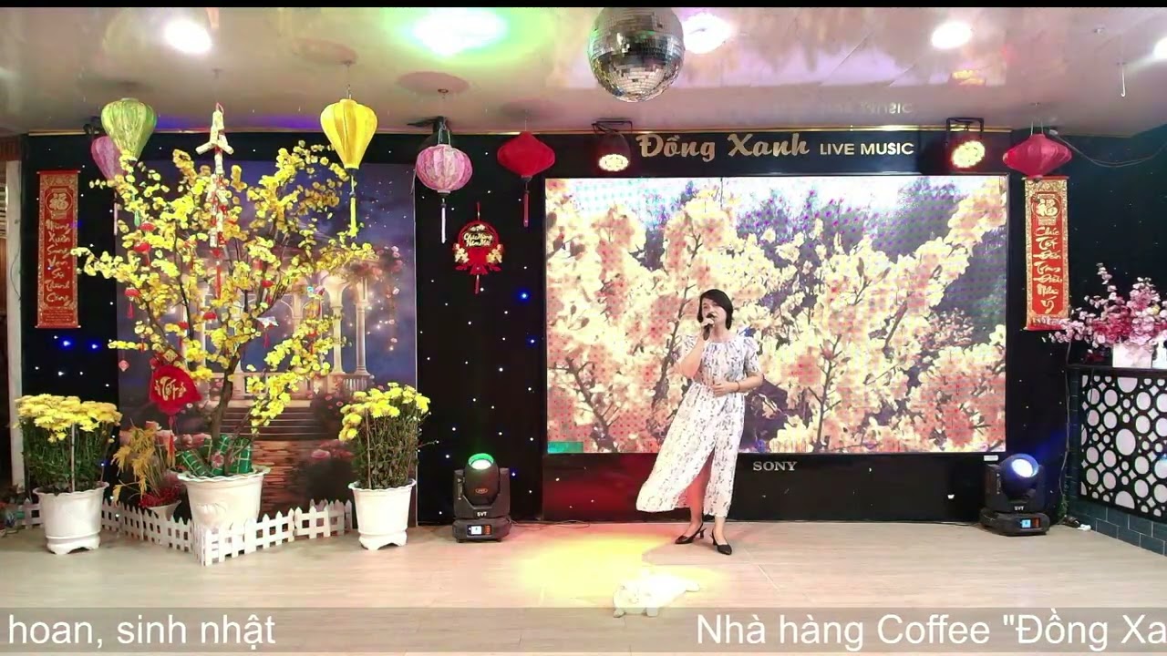 Xuân Này Con Không Về - Thư Tâm 