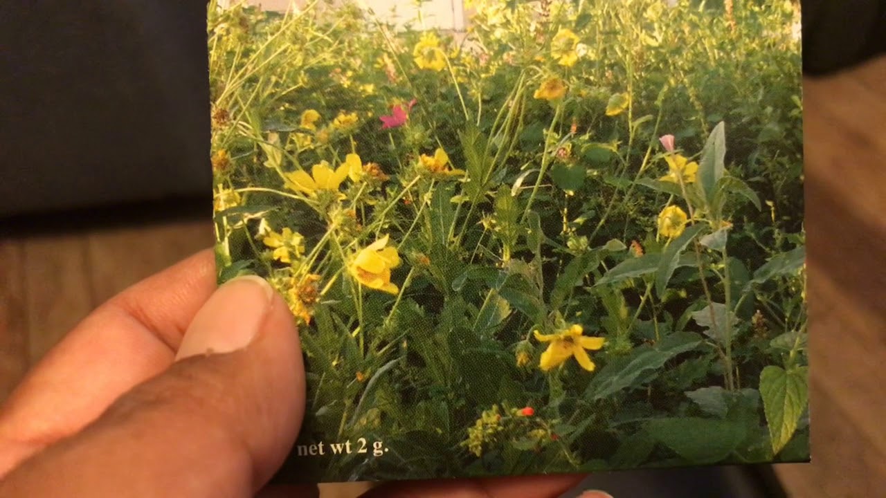 Native American Seed Unboxing-9-14-19 #TexasNativeSeeds