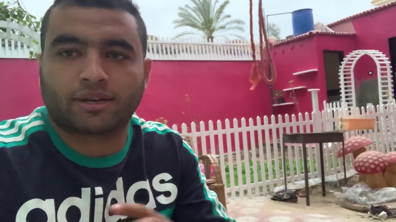 تظليل علامات الفتيس في العداد